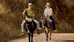 Задник к фильму "" #536624