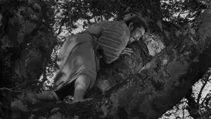 Задник к фильму "Семь Самураев" #605761