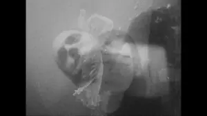 Задник к фильму "" #503910