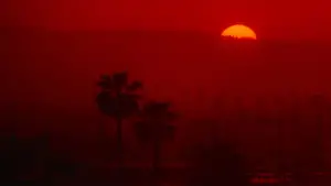 Задник к фильму "Жить и умереть в Лос-Анджелесе" #674926