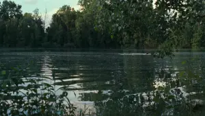 Задник к фильму "Назови меня своим именем" #595932