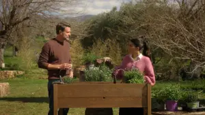 Задник к фильму "Дольче вилла" #614781