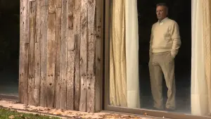 Задник к фильму "Дикие истории" #184121