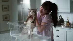 Задник к фильму "Девять жизней" #481409