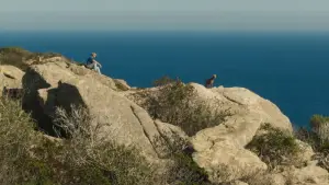 Задник к фильму "Могиканин" #732025