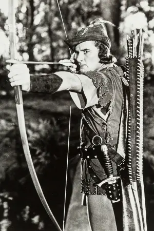 Постер к фильму "Приключения Робин Гуда" #215384