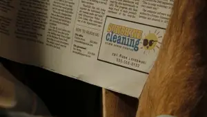 Задник к фильму "Чистка до блеска" #610158