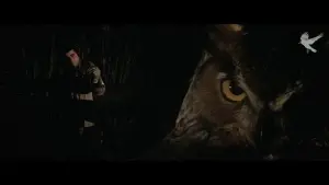 Задник к фильму "Прокол" #505025