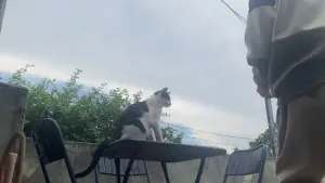 Задник к фильму "" #200746