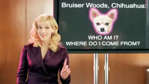 Задник к фильму "Блондинка в законе 2: Красное, белое и блондинка" #673083