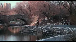 Задник к фильму "Один дома 2: Затерянный в Нью-Йорке" #567012