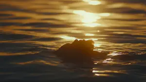 Видео к фильму A Strange Path | Official Teaser