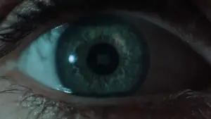 Задник к фильму "Звонок" #636362