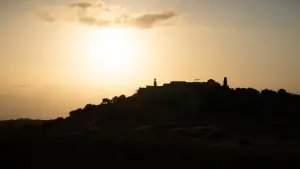 Задник к фильму "Палестина 36" #532459