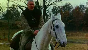 Задник к фильму "Ведьмак" #494886