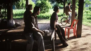 Задник к фильму "Дядюшка Бунми, который помнит свои прошлые жизни" #271419