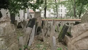 Задник к фильму "" #199456