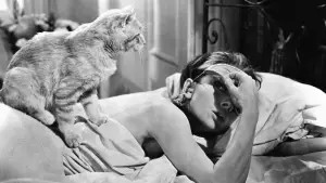 Задник к фильму "Завтрак у Тиффани" #648632