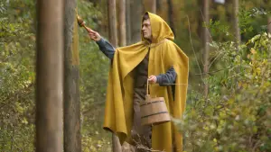 Задник к фильму "Таинственный лес" #728803