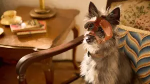 Задник к фильму "Мой любимый двортерьер" #683134