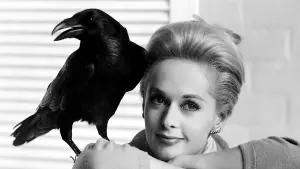 Видео к фильму Птицы | Птицы - Трейлер