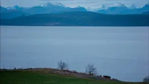 Задник к фильму "Осенняя соната" #645066