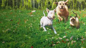 Задник к фильму "Невероятное путешествие" #459261