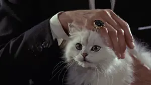 Задник к фильму "007: Доктор Ноу" #247061