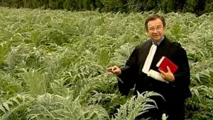 Задник к фильму "Собиратели и собирательница" #769773