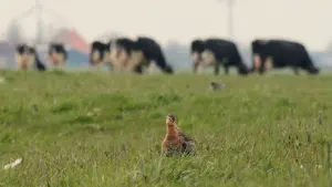 Задник к фильму "" #312200