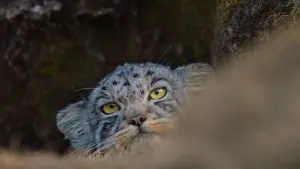 Задник к фильму "" #390746