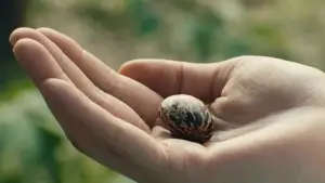 Задник к фильму "" #539050