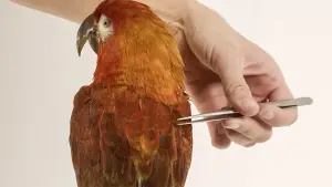 Задник к фильму "" #367942