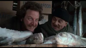 Задник к фильму "Один дома 2: Затерянный в Нью-Йорке" #567105