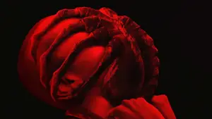 Задник к фильму "Чужой: Ромул" #545952