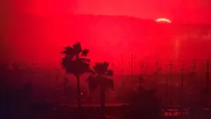 Задник к фильму "Жить и умереть в Лос-Анджелесе" #674922