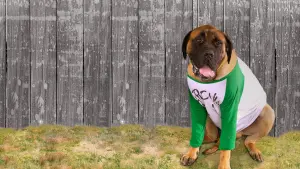 Задник к фильму "Площадка 2" #436691