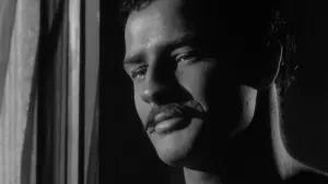 Задник к фильму "Вива, Сапата!" #437071