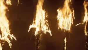 Задник к фильму "Дюна" #529610