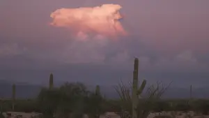 Задник к фильму "" #542318