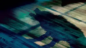 Задник к фильму "Девушка из воды" #377923