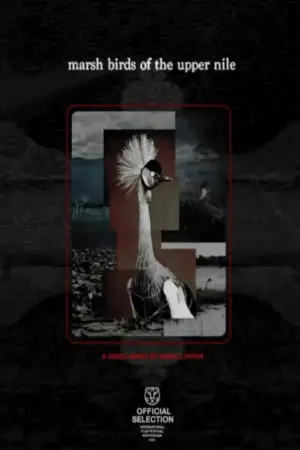 Marsh Birds of the Upper Nile