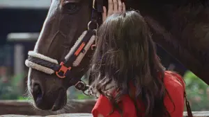 Задник к фильму "" #402284