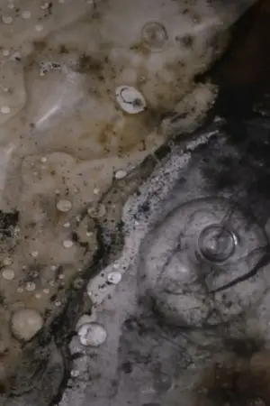 Постер к фильму "" #476577