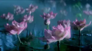 Задник к фильму "青蛇" #903106