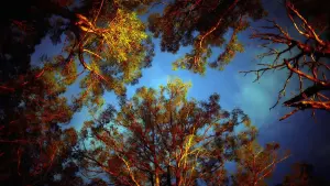 Задник к фильму "Город тайн: Исчезнувшая" #430500