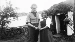 Задник к фильму "" #466246