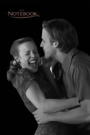 Постер к фильму "Дневник памяти" #473425