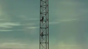 Задник к фильму "Вышка" #231694