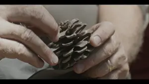 Задник к фильму "" #453493